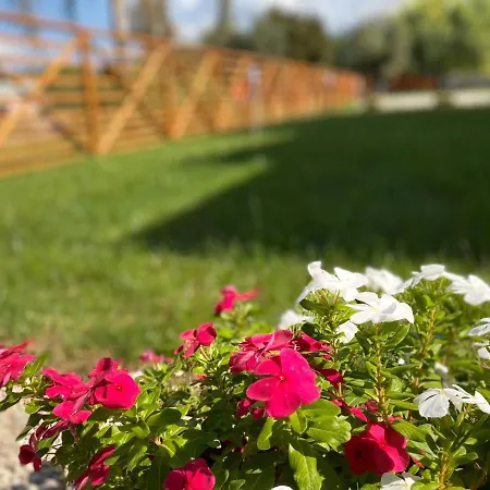 Assteas Paestum